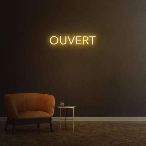 ustomizable 'Ouvert' LED neon sign for businesses, available in various sizes and colors to match decor.
